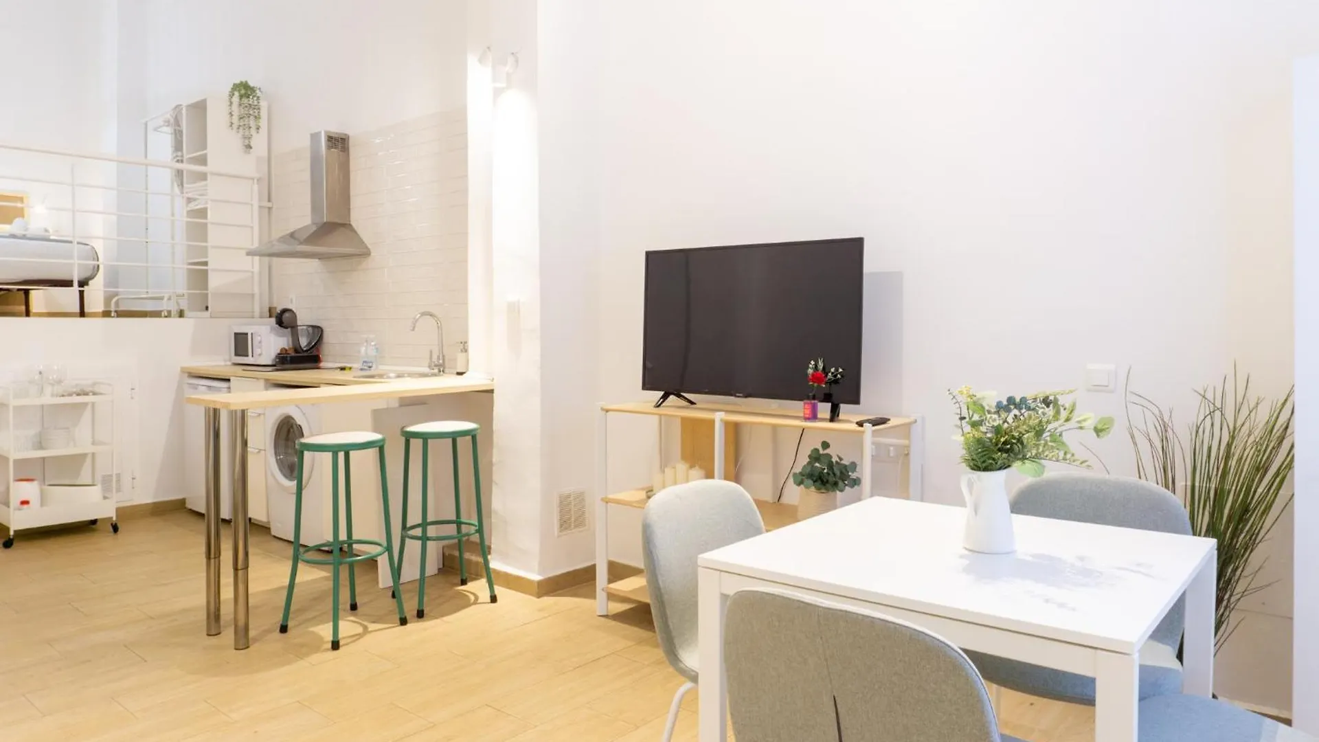 Cozy Loft Victoria Apartment Malaga Spain